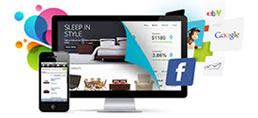 computer with ecommerce website